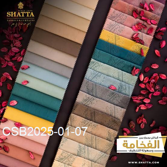 images (3)20250107232559